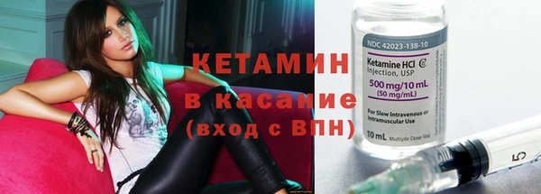 шишки Беломорск