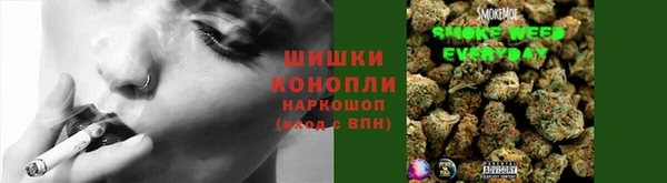 шишки Беломорск