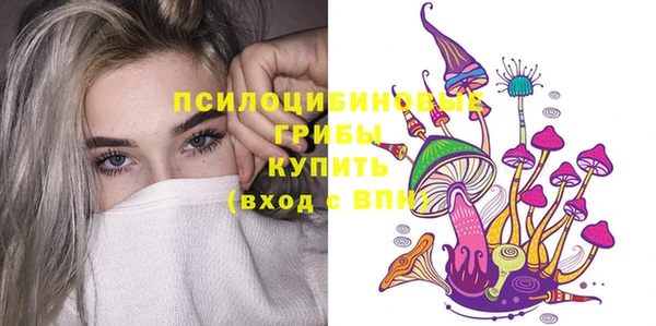 шишки Беломорск