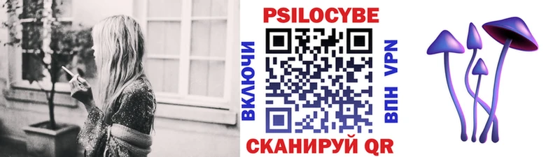 купить   мега ссылка  Псилоцибиновые грибы Cubensis  Волгореченск 